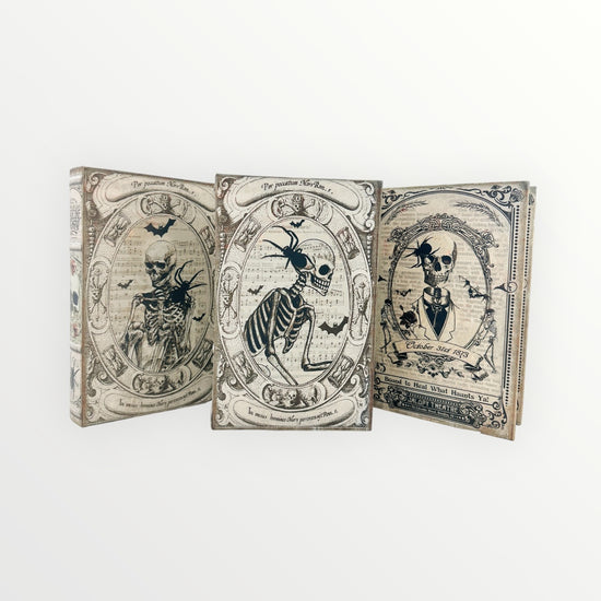 Fright Night Book Boxes