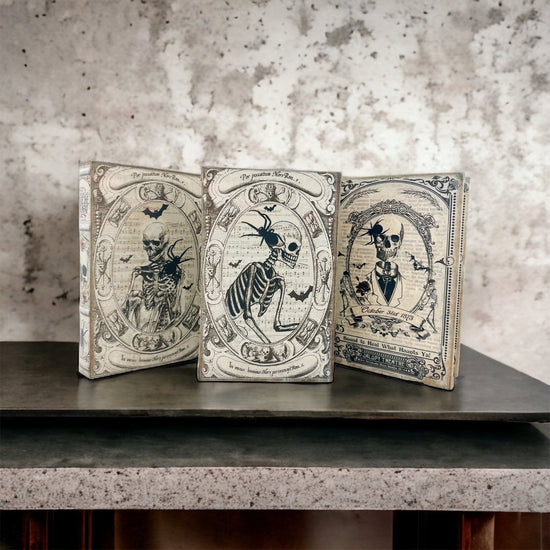 Load image into Gallery viewer, Fright Night Book Boxes
