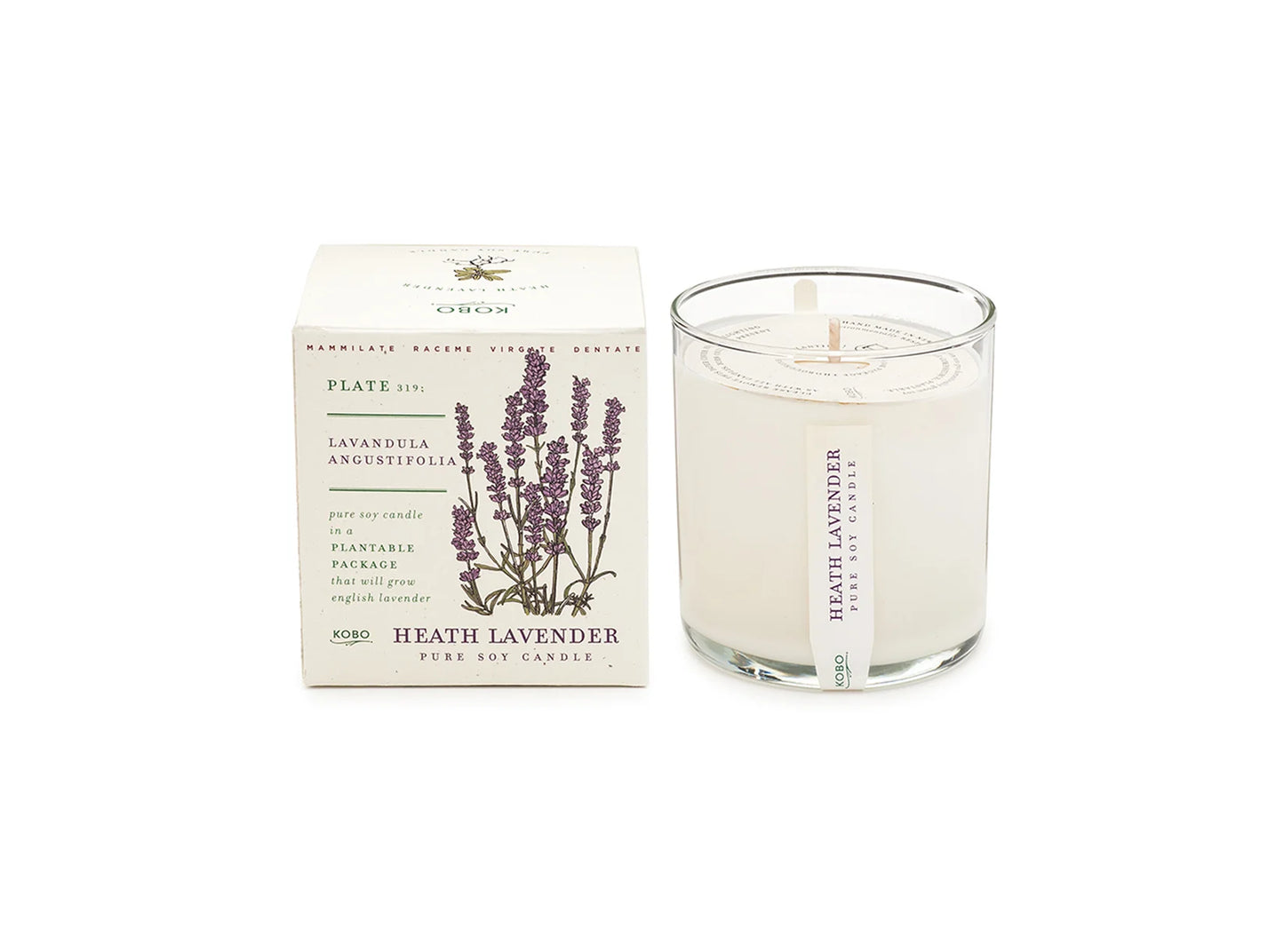 Heath Lavender Plant the Box Candle 9oz