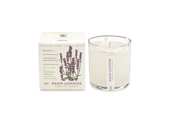 Heath Lavender Plant the Box Candle 9oz