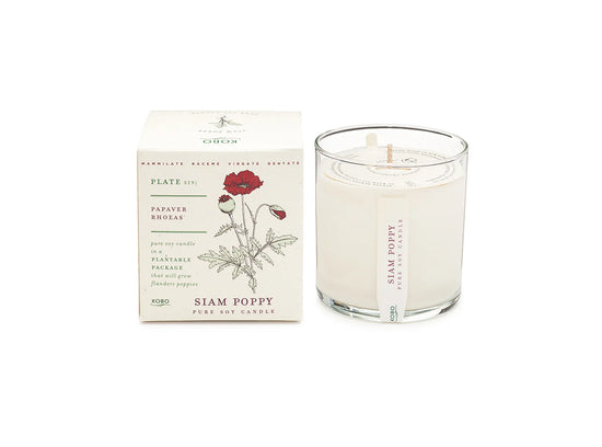 Siam Poppy Plant the Box Candle 9oz