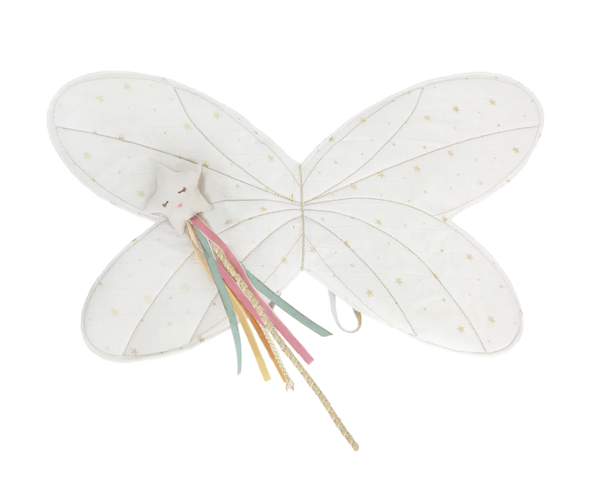 Fairy Wings & Magical Wand Dress Up Set