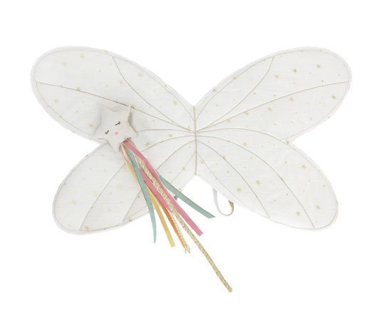Fairy Wings & Magical Wand Dress Up Set