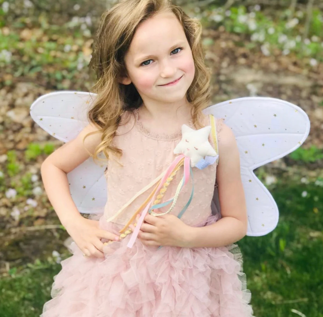 Fairy Wings & Magical Wand Dress Up Set