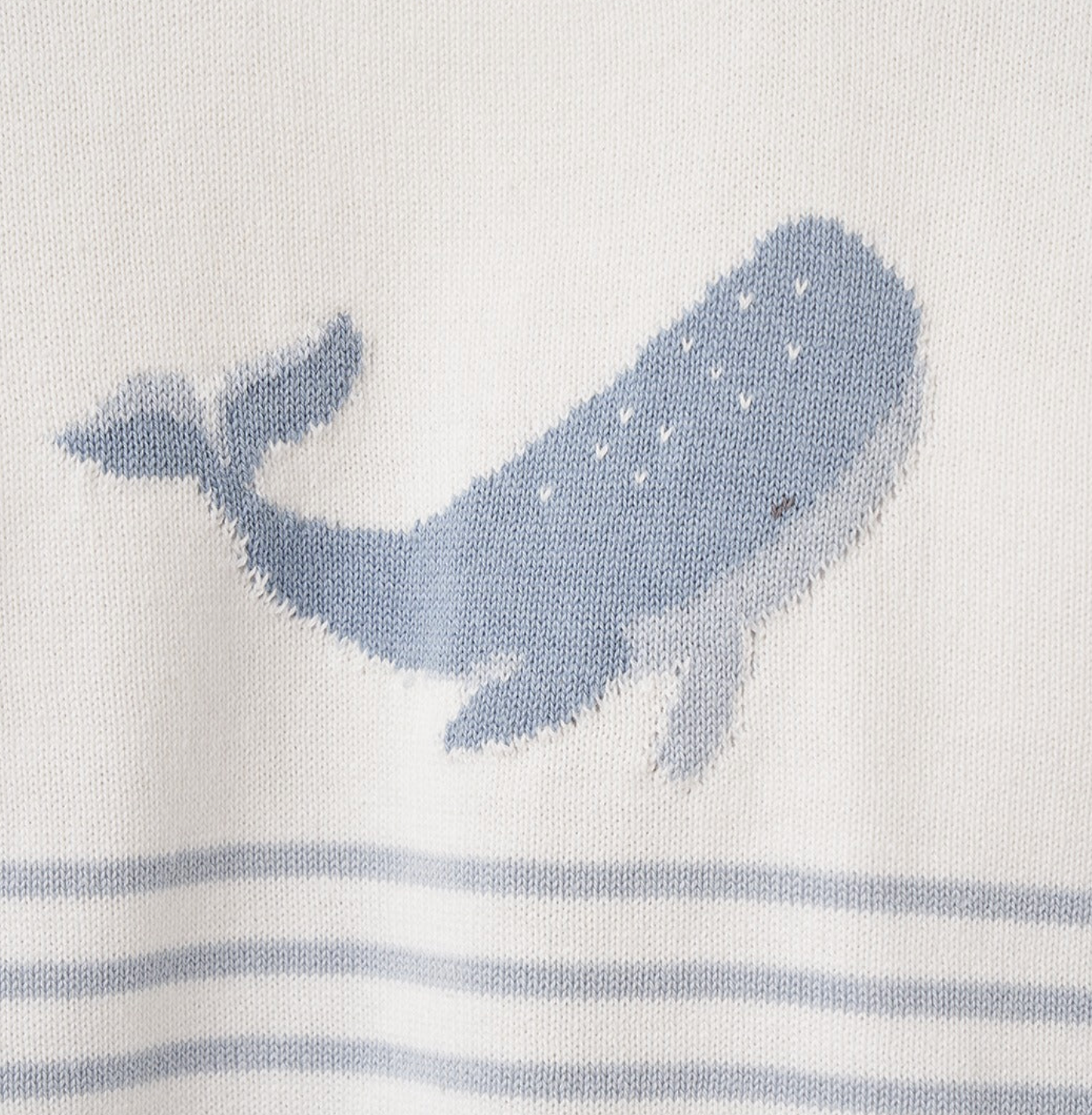 Whale Striped Knit Short Set