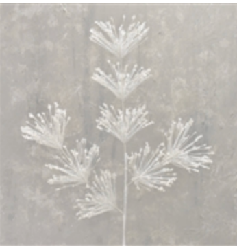 White Sequin Firecracker Pine Spray -31"