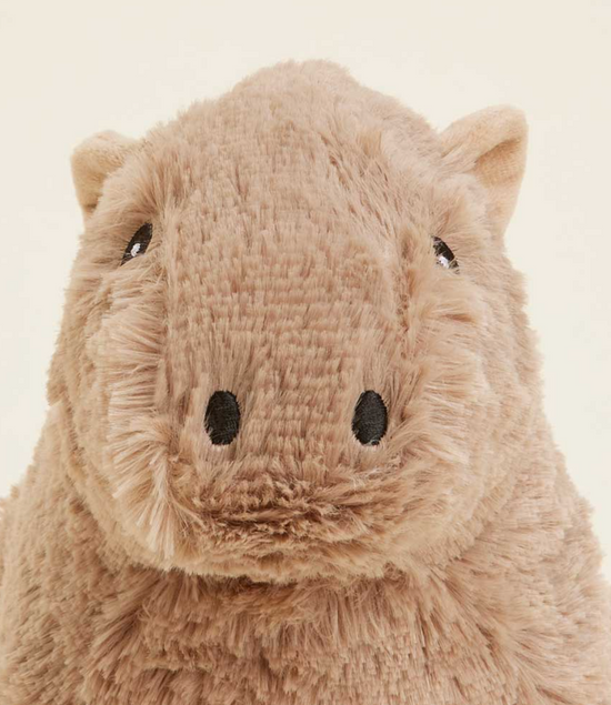 Load image into Gallery viewer, Capybara Warmies®
