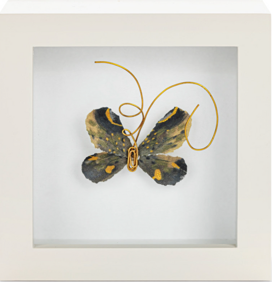 Butterfly Shadow Box Artworks 4"