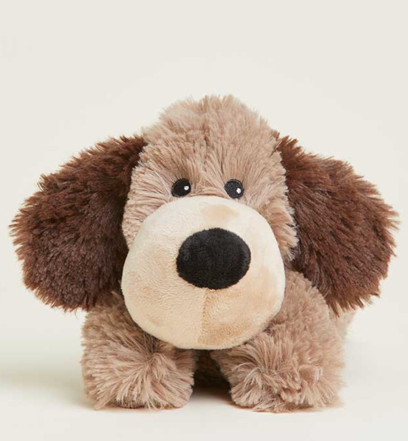 Brown Dog Warmies Junior