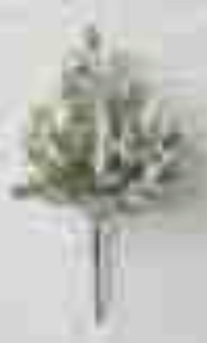 19IN Frosted Berry Bush