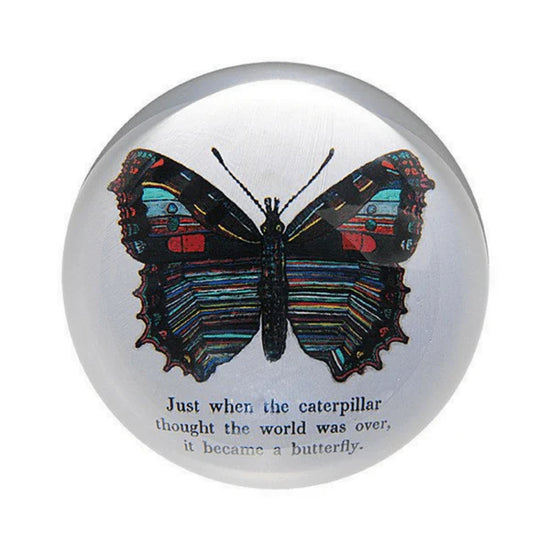 Paperweight -Butterfly