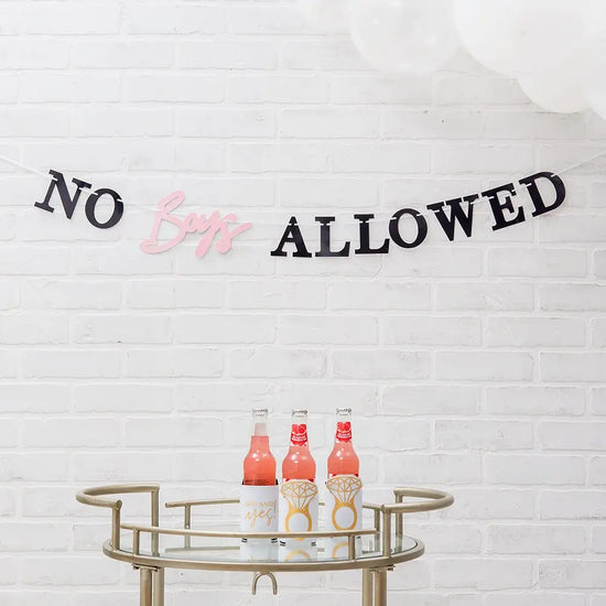 No Boys Allowed Banner
