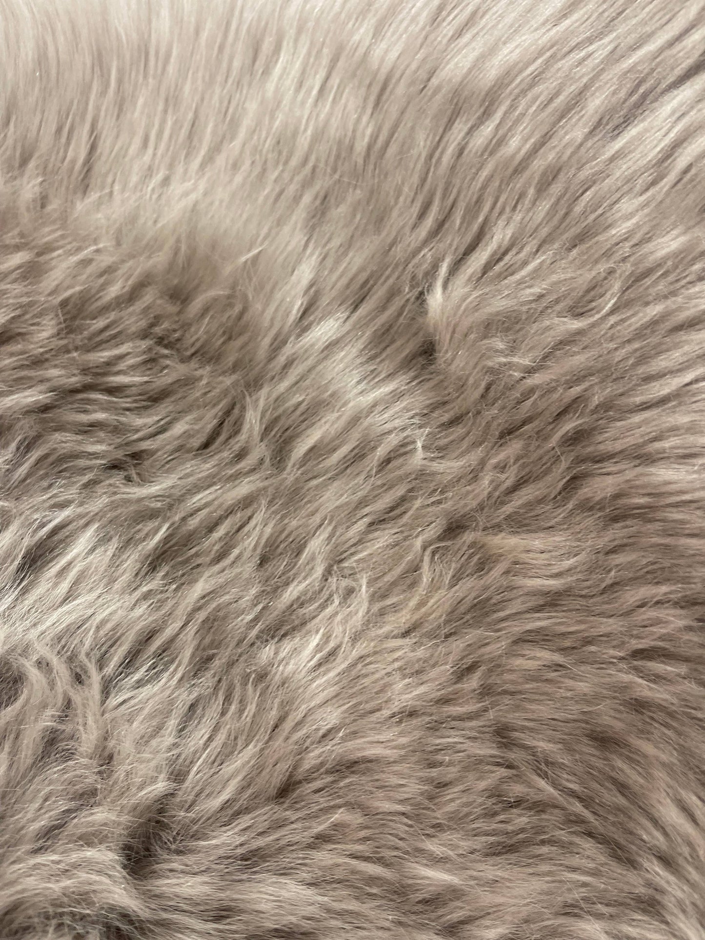 Sheepskin Rug: Ivory / Single (2'x3')