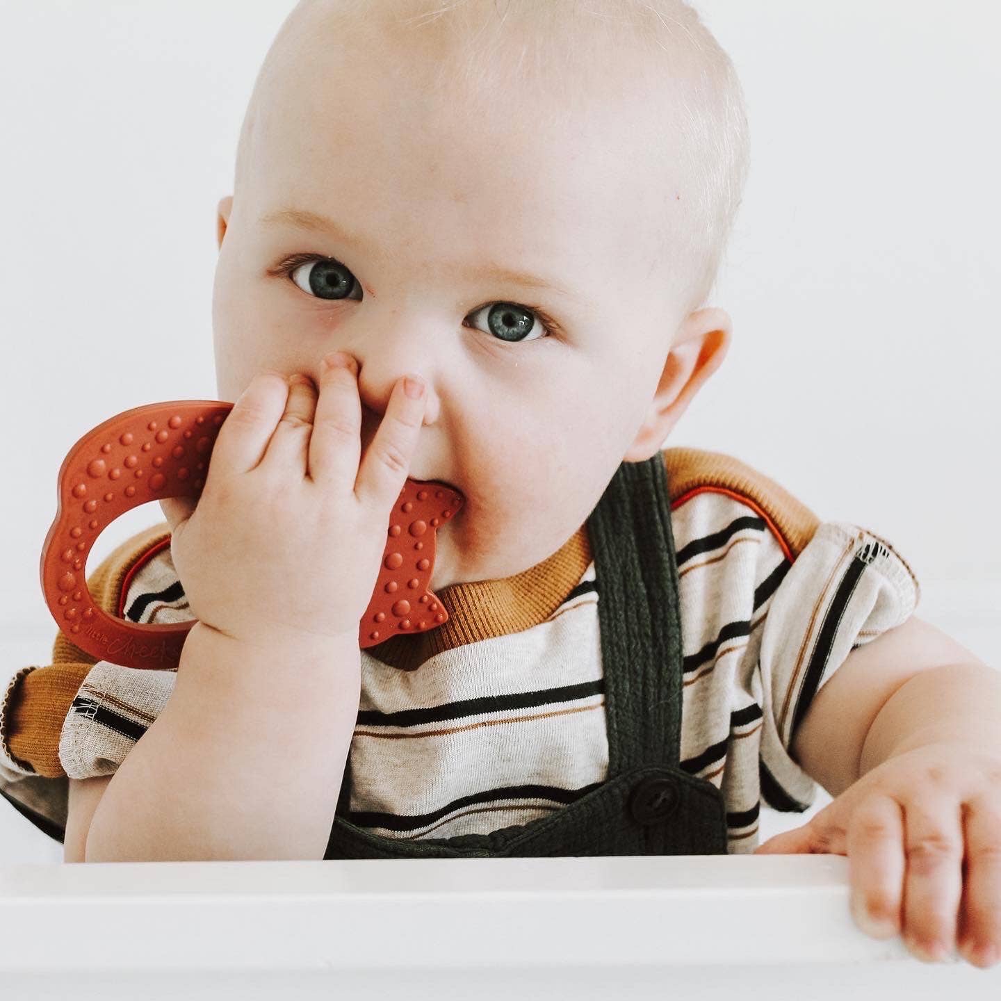 Rust FOX Teether