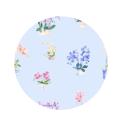 Proud to Be Y'Orchid Bow
