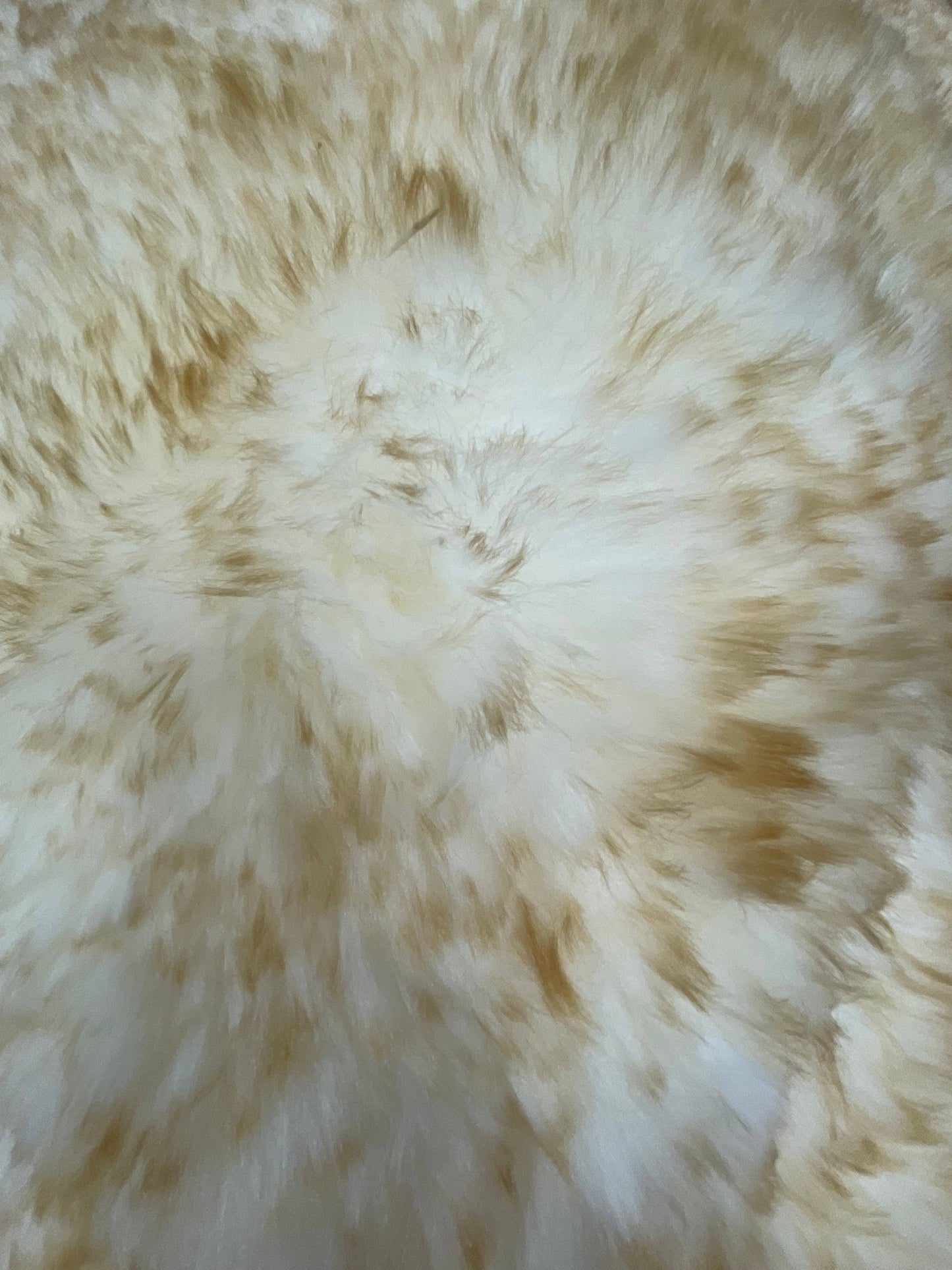 Sheepskin Rug: Ivory / Single (2'x3')