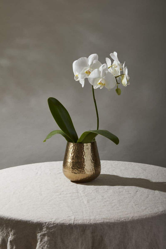 Load image into Gallery viewer, Sm Gold Hux Pot

