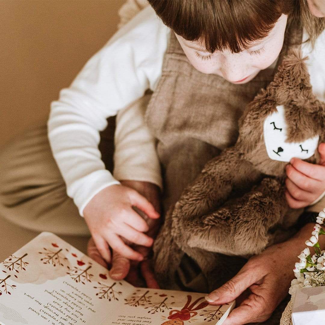 Fox Snuggler + Introduction Book - Fox, Your Love Stays the Same: An Introduction to Change