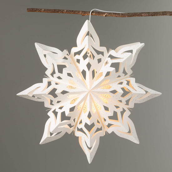 Lg Hanging Paper Star