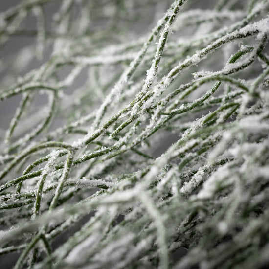 Load image into Gallery viewer, Frosted Grass Spray
