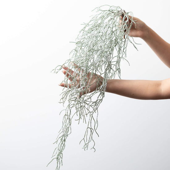 Load image into Gallery viewer, Frosted Grass Spray
