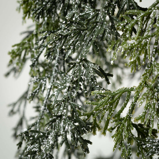 Load image into Gallery viewer, Small Draping Cypress Hanging Wreath
