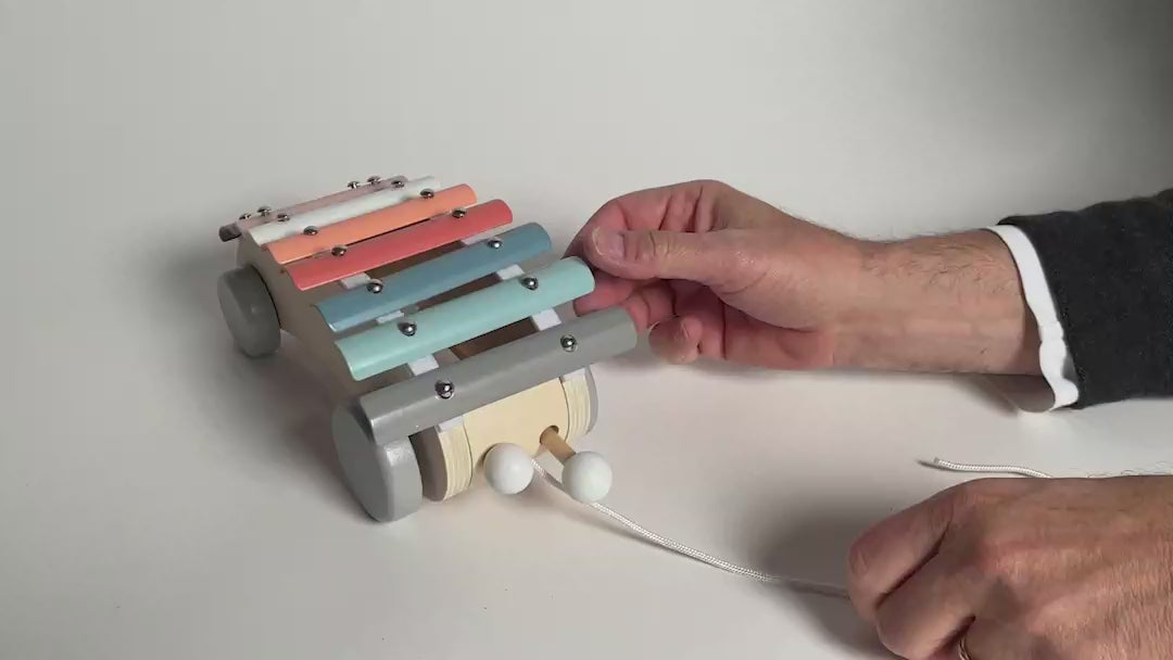 Load and play video in Gallery viewer, Xylophone Roller Pull Along with 2 Mallets in Gift Box
