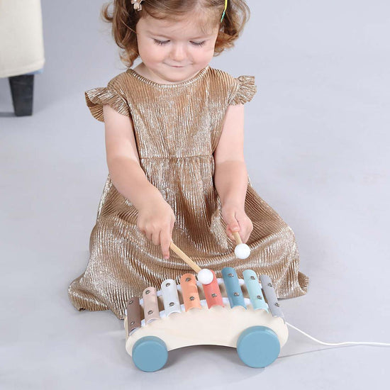 Xylophone Roller Pull Along with 2 Mallets in Gift Box