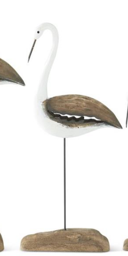 Medium Whitewashed Shore Bird