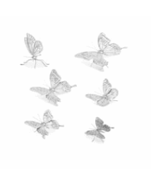 Silver Butterfly