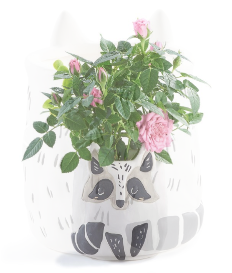 Porcelain Planter