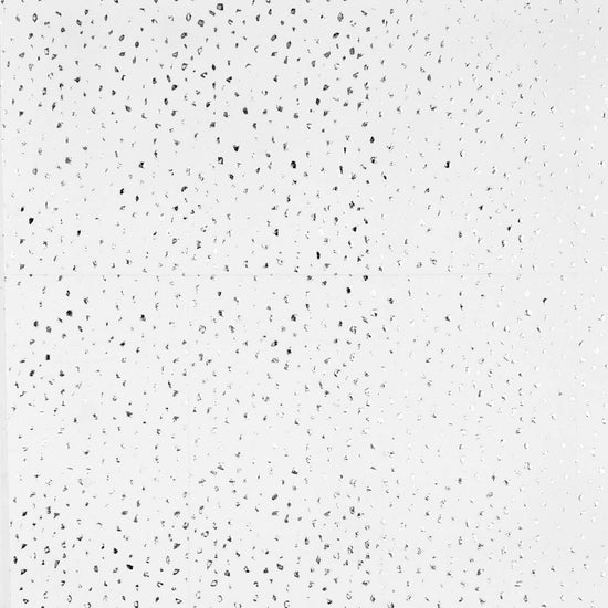 Silver Tissue - Reflection